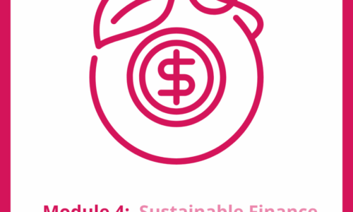 Module 4 – Sustainable Finance and Sponsorship